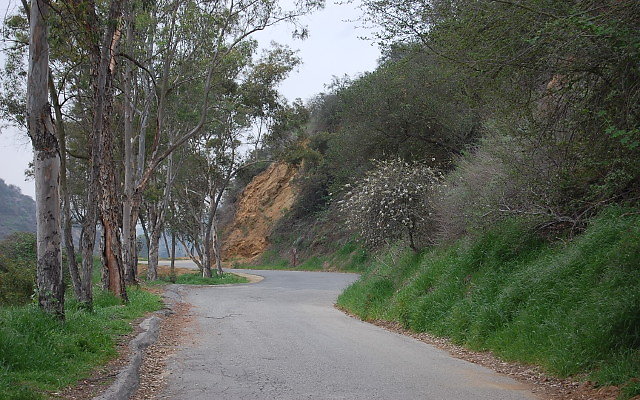 DSC 0327