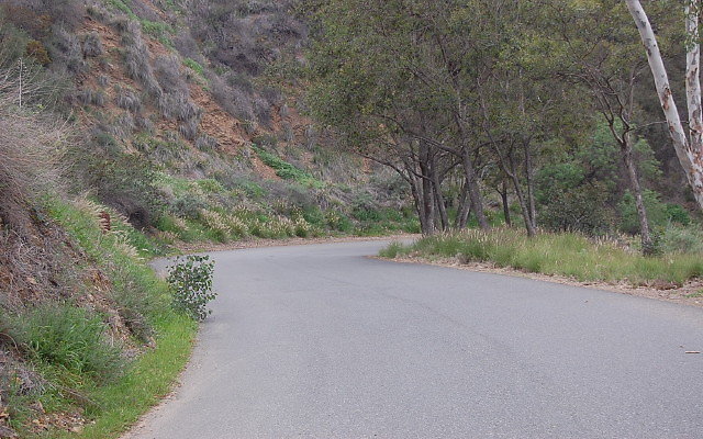 DSC 0183