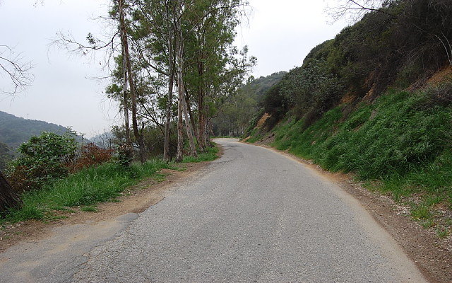 DSC 0206
