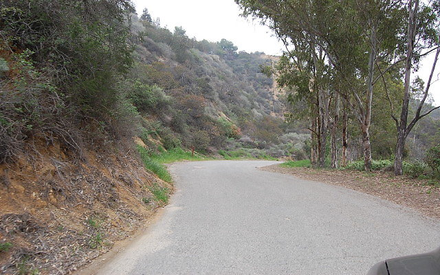 DSC 0210