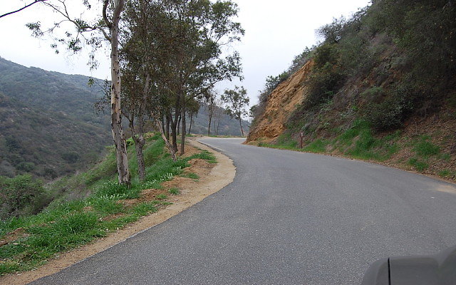 DSC 0329