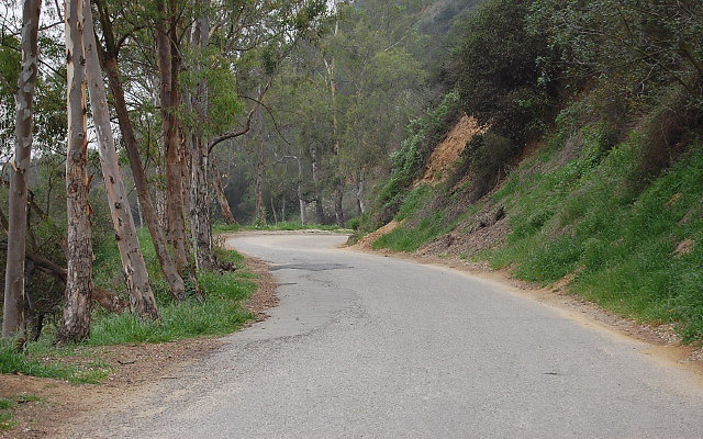DSC 0207