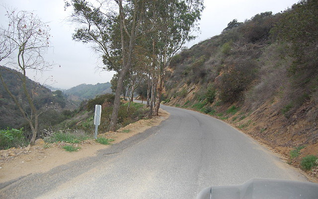 DSC 0330