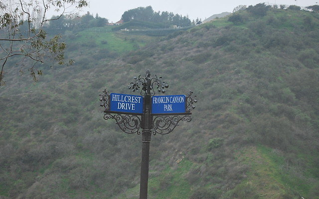 DSC 0337