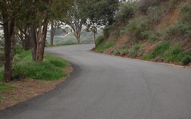 DSC 0336