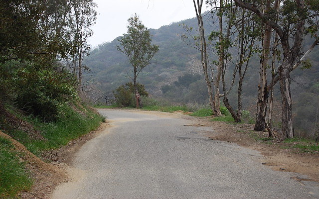 DSC 0208