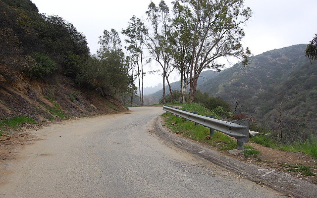 DSC 0204