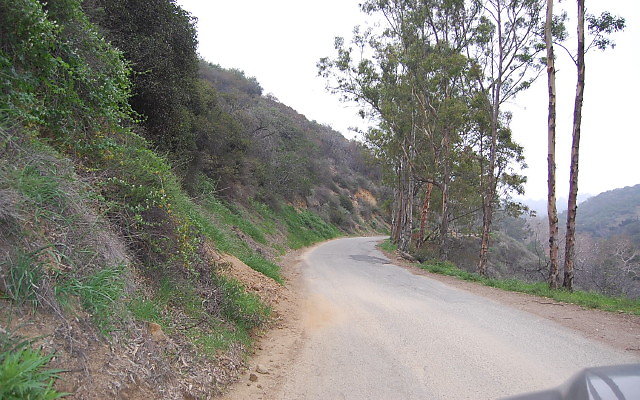 DSC 0205