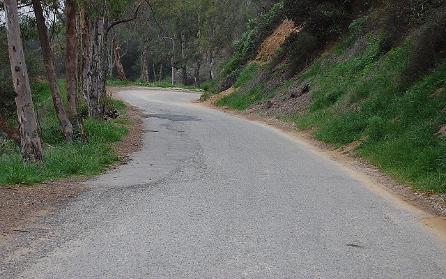 DSC 0324