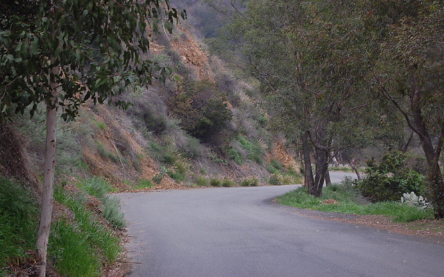 DSC 0179