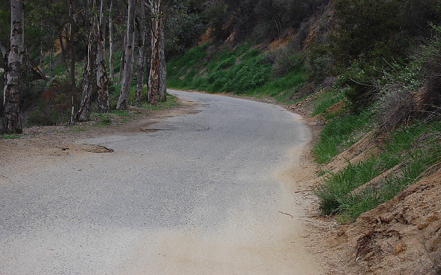 DSC 0320