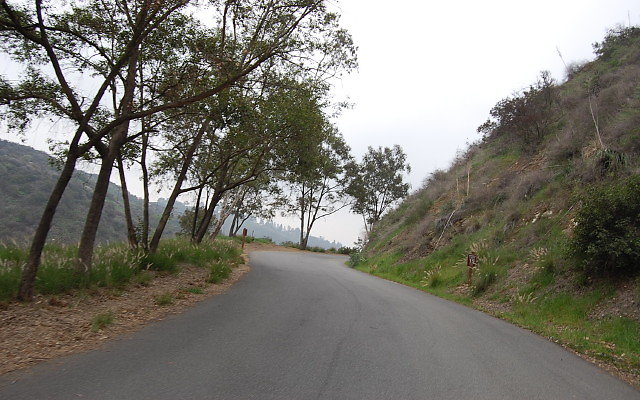 DSC 0334