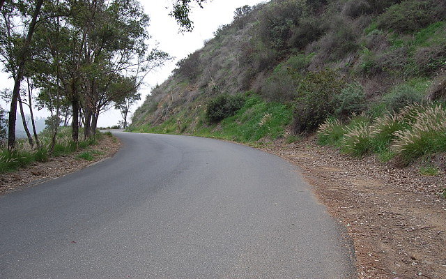 DSC 0192