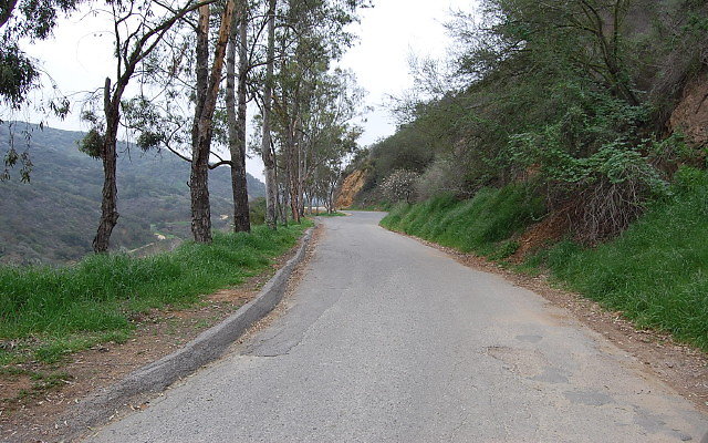 DSC 0328