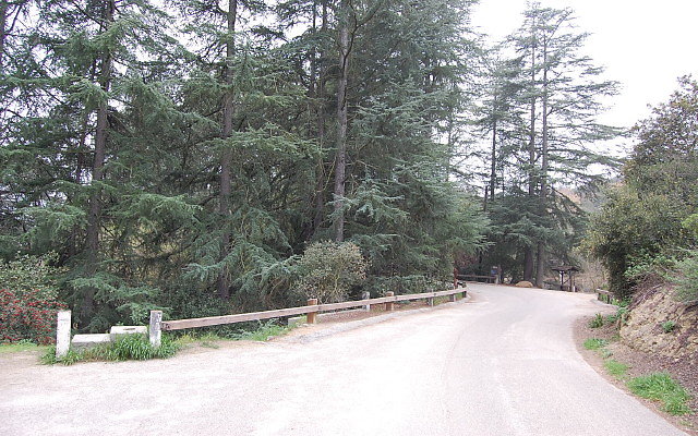 DSC 0283