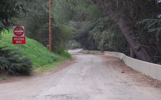 DSC 0265
