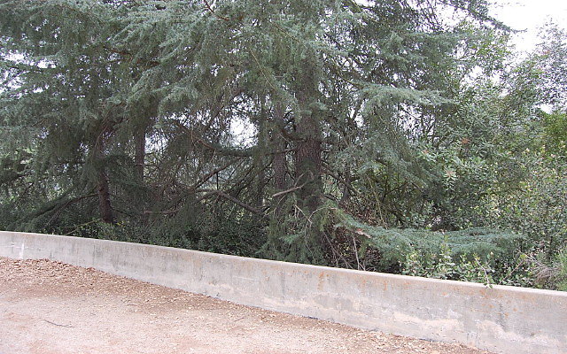 DSC 0259