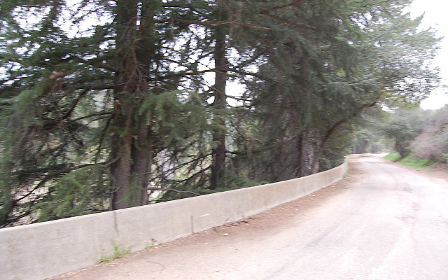 DSC 0262