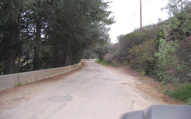 DSC 0256