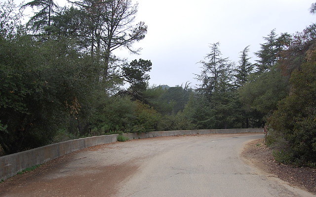 DSC 0255