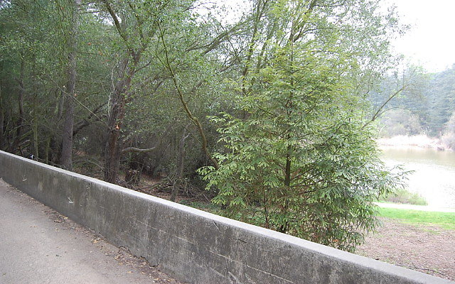 DSC 0301