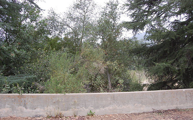 DSC 0260