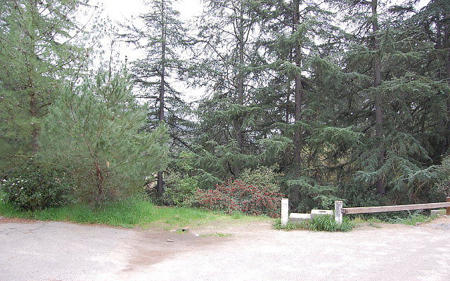 DSC 0282