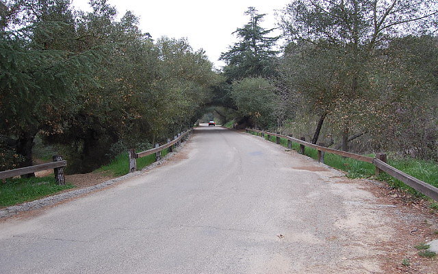 DSC 0267