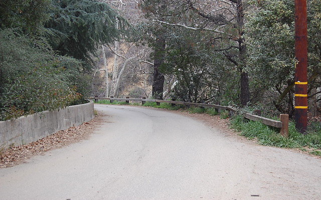 DSC 0305