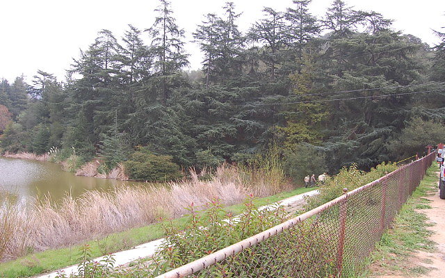 DSC 0291
