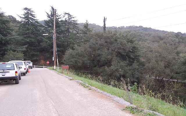 DSC 0293
