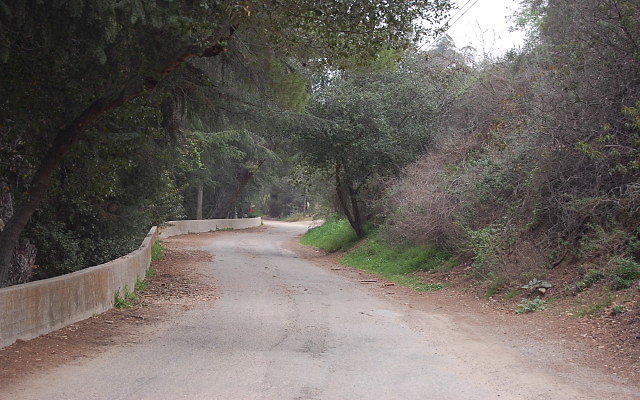 DSC 0257