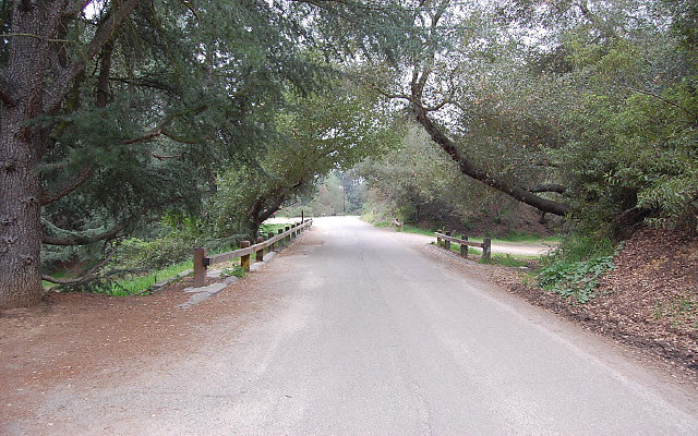 DSC 0271