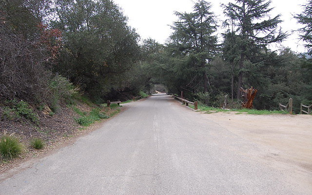 DSC 0276