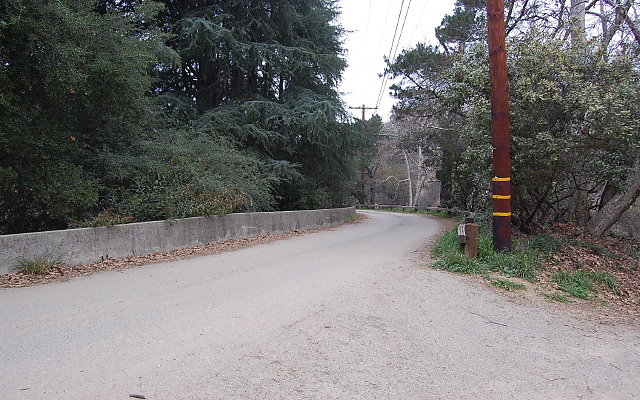 DSC 0254