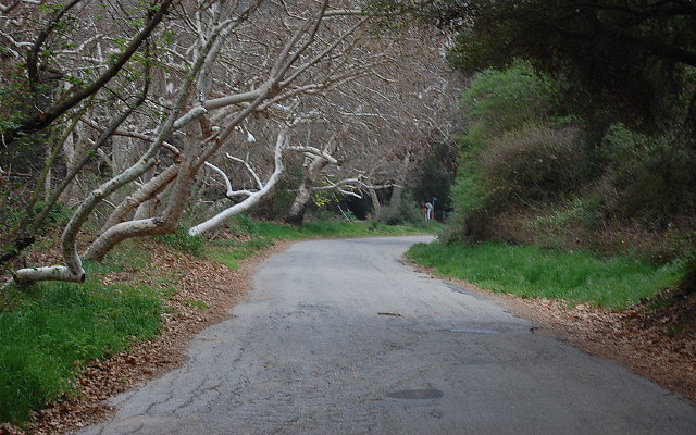 DSC 0315