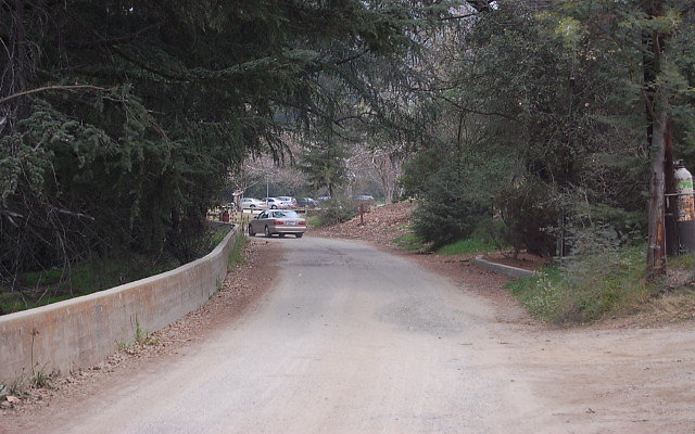 DSC 0266