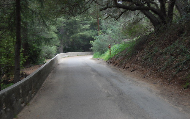 DSC 0300