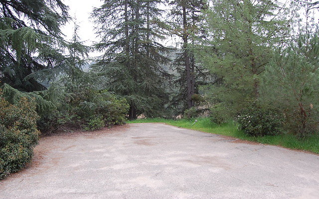 DSC 0281