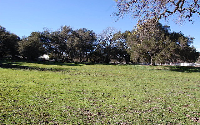 DSC 0283