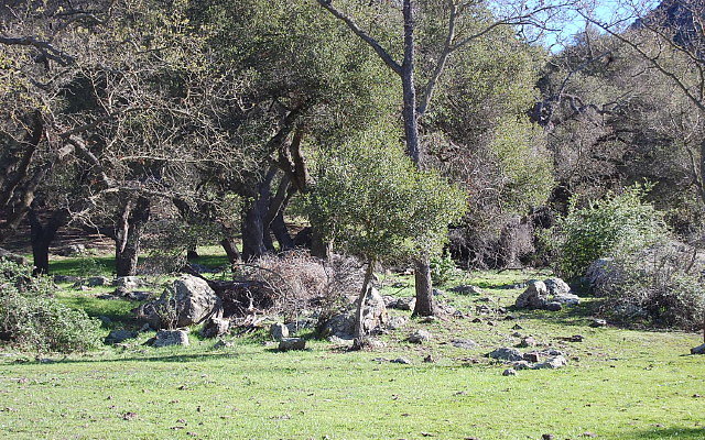 DSC 0286