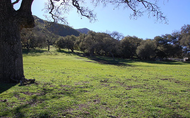 DSC 0279