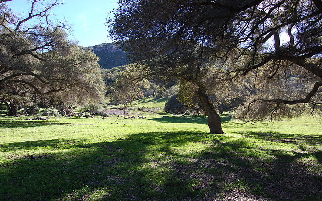 DSC 0269