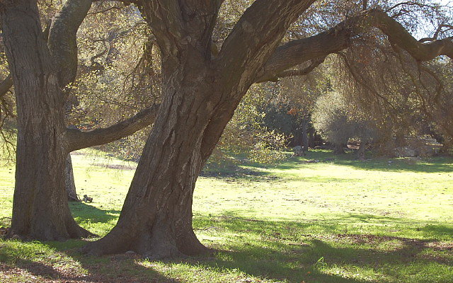 DSC 0272