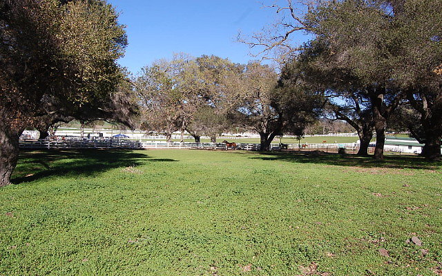 DSC 0290