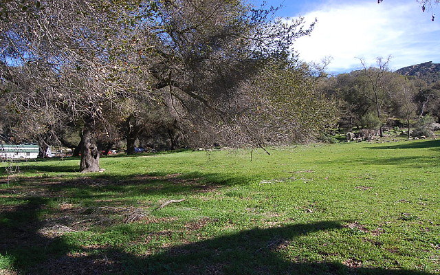 DSC 0277