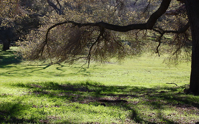 DSC 0271