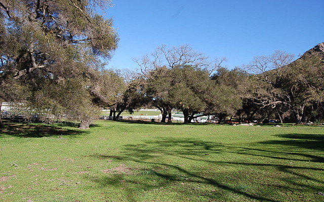 DSC 0285