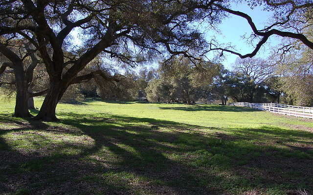 DSC 0270