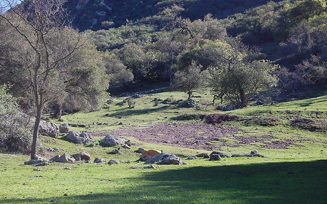 DSC 0287
